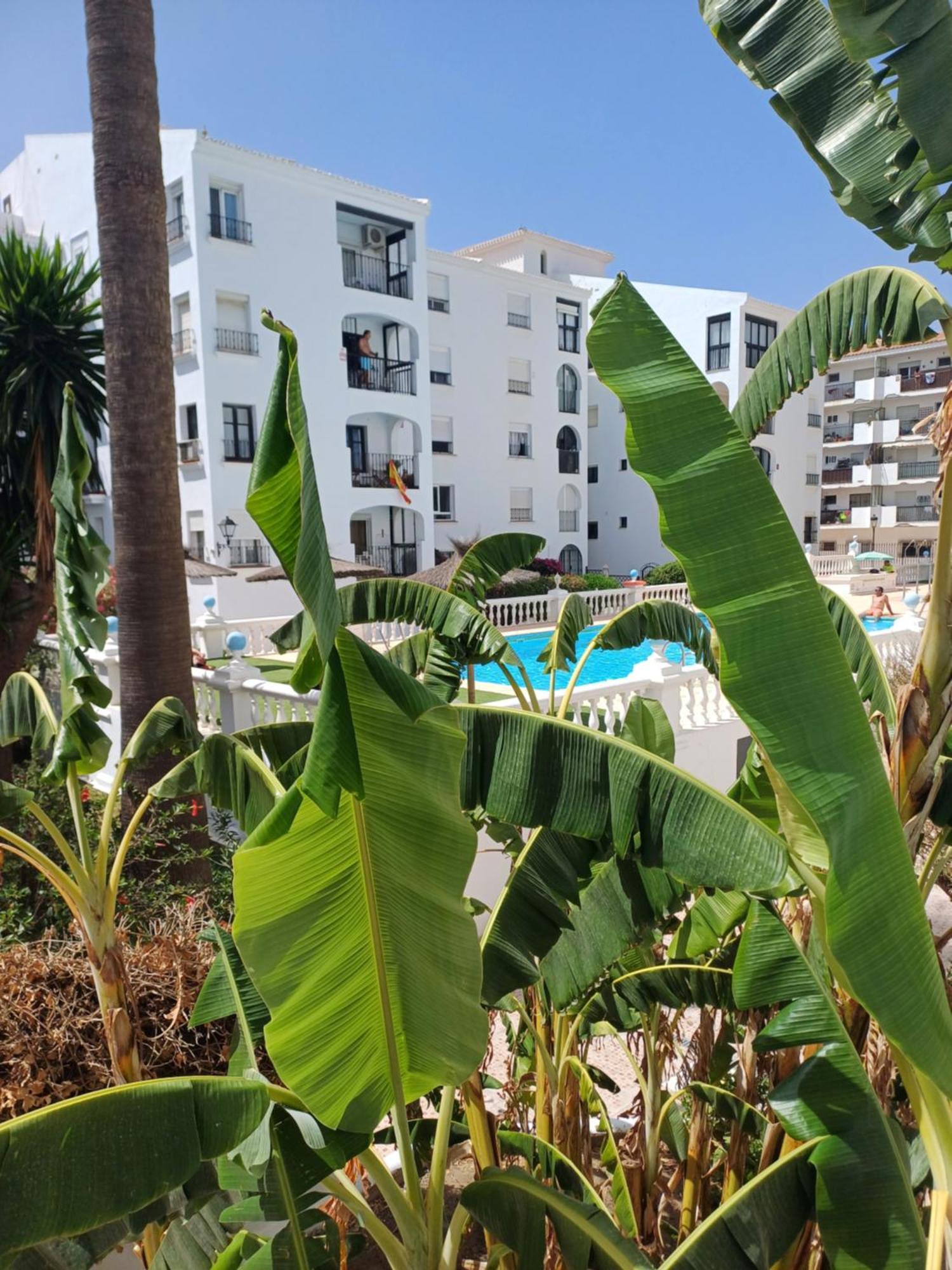 Beautiful Beachfront Newly Renovated 2 Bedroom Apartment With Swimming Pool And Garden San Luis de Sabinillas Exteriör bild